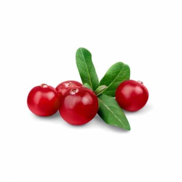 Cranberry supplement