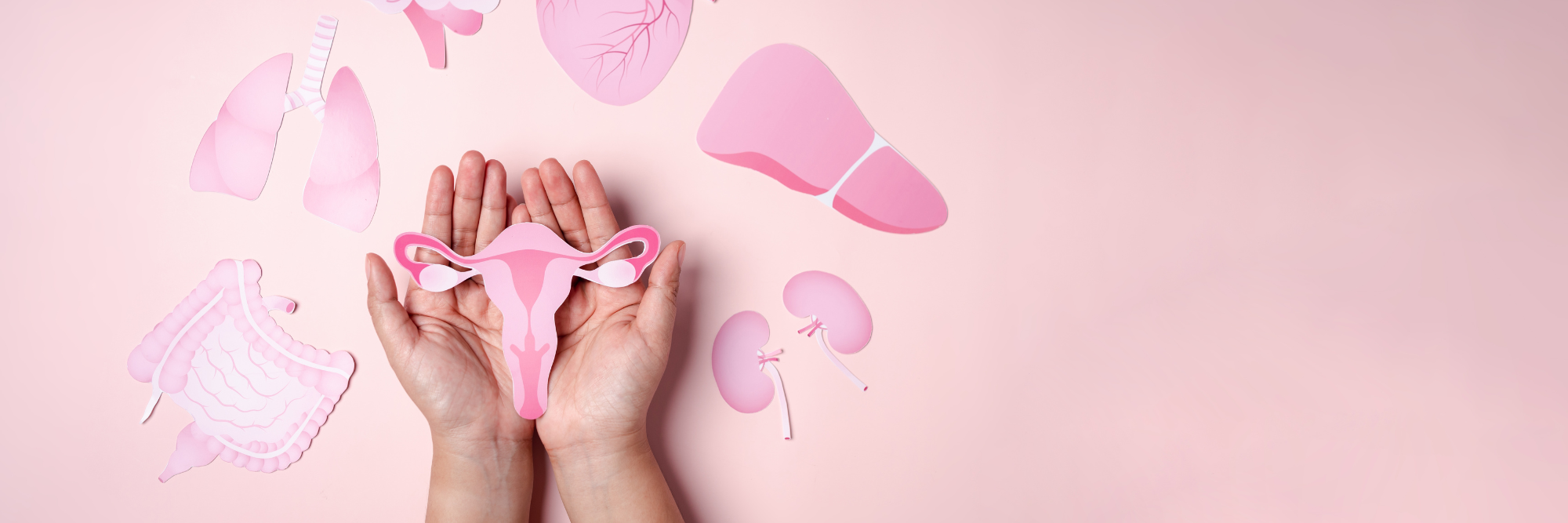 De menopauze: meer dan een overgang, de kracht van brede ondersteuning