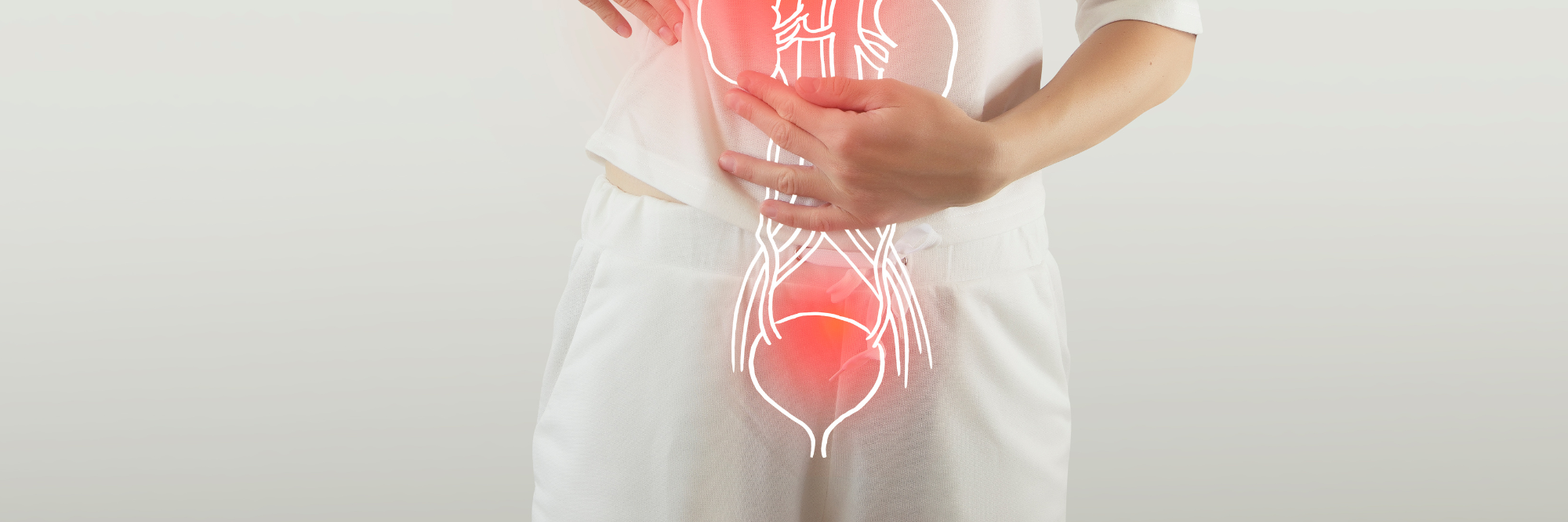 Terugkerende blaasontstekingen bij vrouwen: het belang van vaginale microbiële ondersteuning